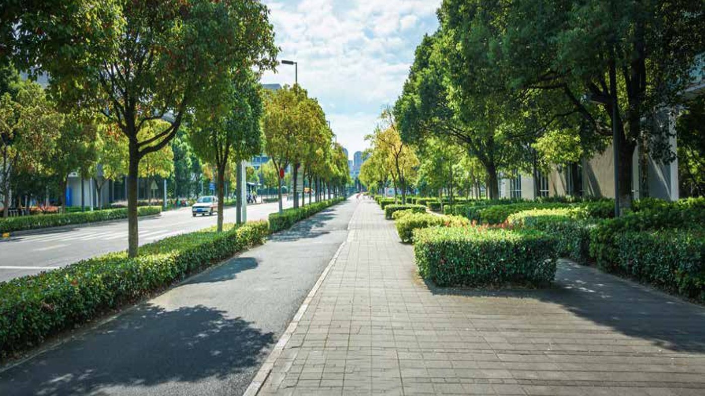 Prestige Evergreen images