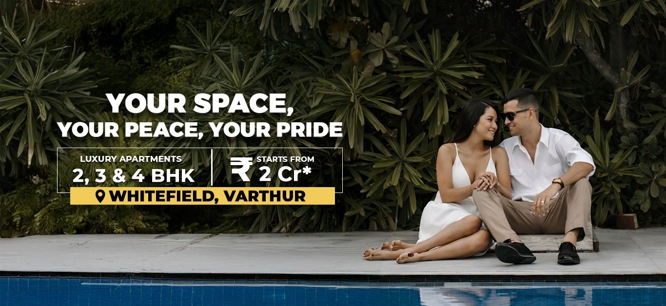 Prestige Evergreen Banner